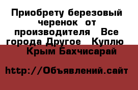 Приобрету березовый черенок  от производителя - Все города Другое » Куплю   . Крым,Бахчисарай